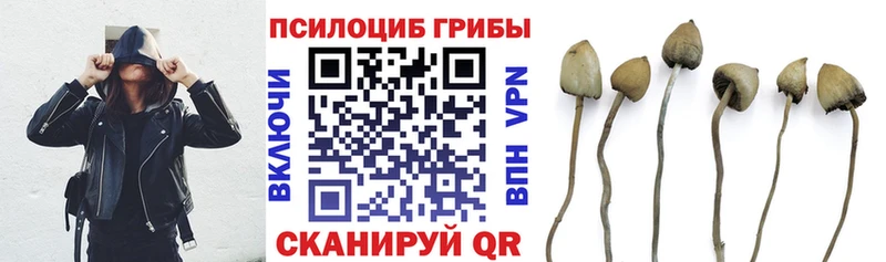 Псилоцибиновые грибы ЛСД  где купить наркоту  Черемхово 