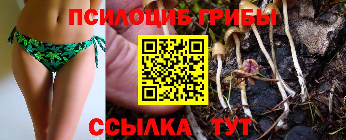 Галлюциногенные грибы прущие грибы  Вход с VPN  Черемхово 