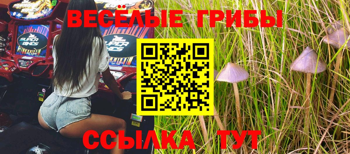Галлюциногенные грибы мухоморы Черемхово